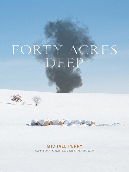 Cover image for Forty Acres Deep